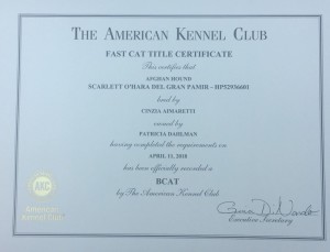 RossellaFastCat